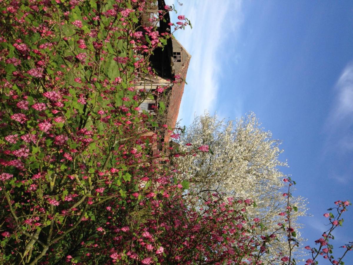 B&B Bekersveld Vlezenbeek エクステリア 写真