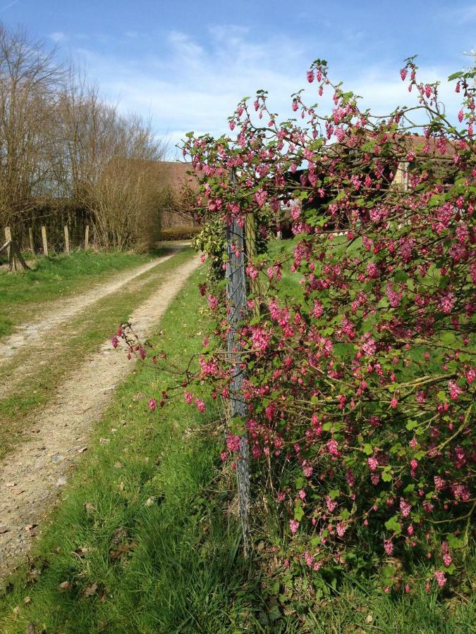 B&B Bekersveld Vlezenbeek エクステリア 写真
